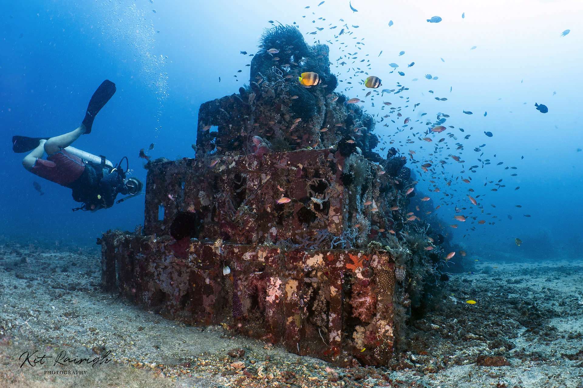 Jetty Dive Site