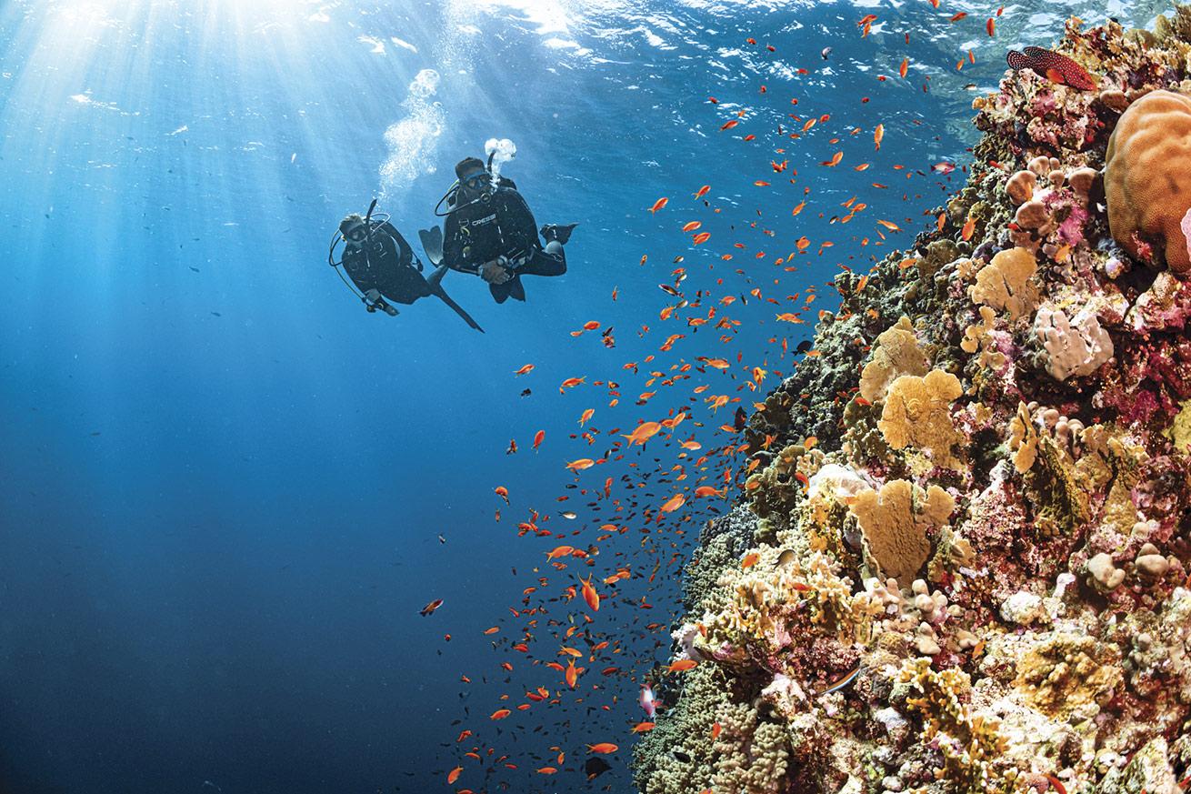 Bias Tugal Dive Site